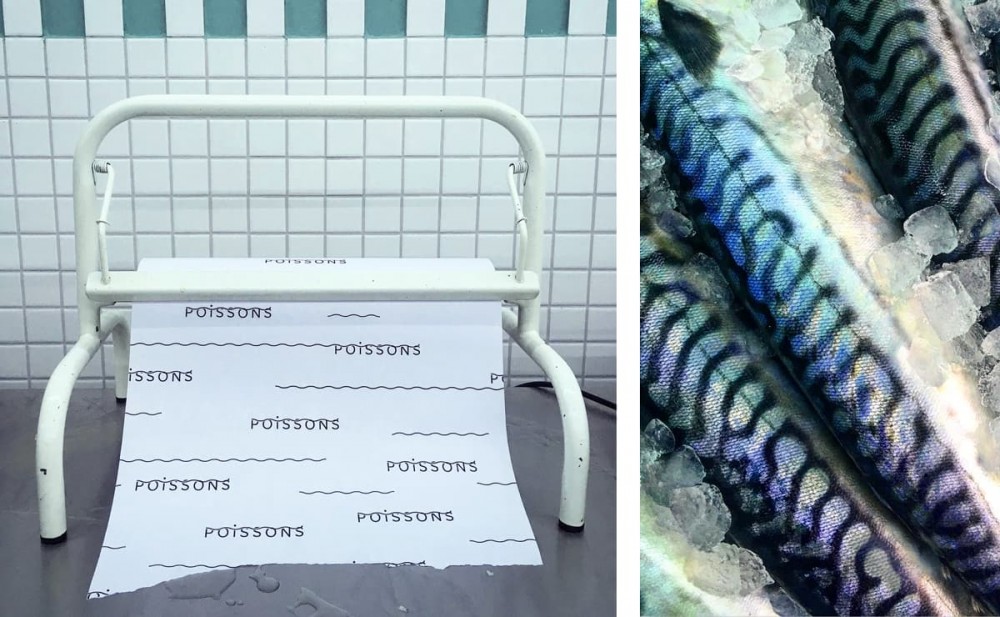 Enrouleur papier emballage poissons - maquereau, logo Poissonerie