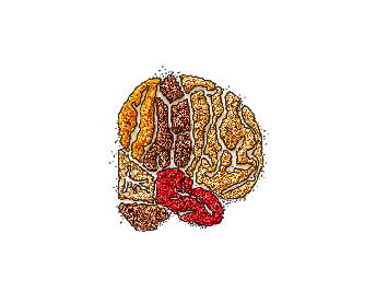 BEAUT&Eacute; DU GESTE