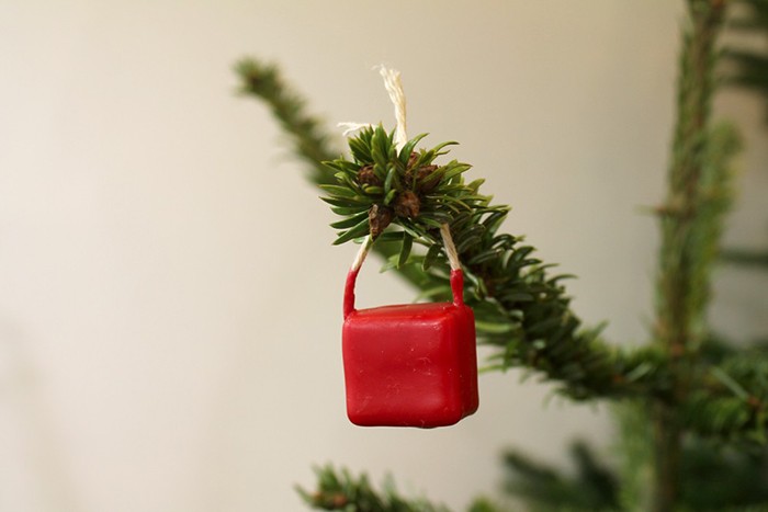 fromage ciré dans le sapin