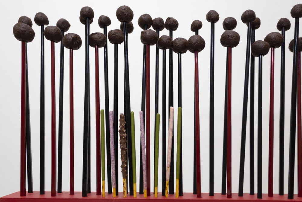 Pocky et ganache au chocolat, fève toncka