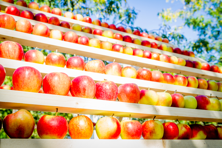 Maison de pommes, producteur Normandie